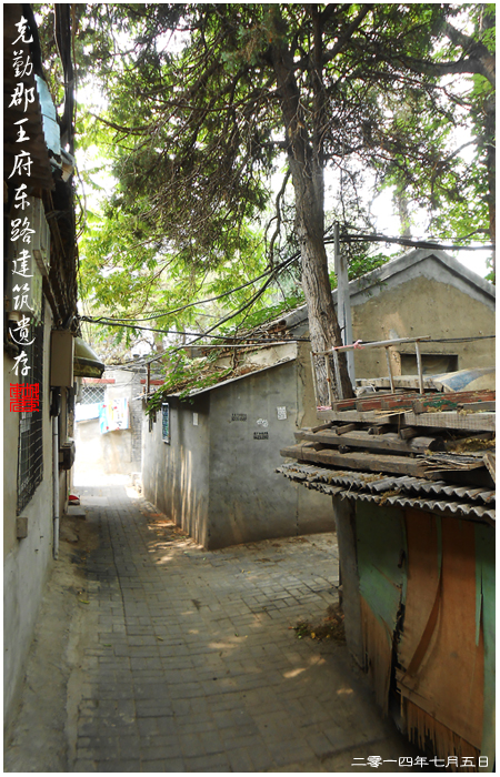 查看更多精彩图片