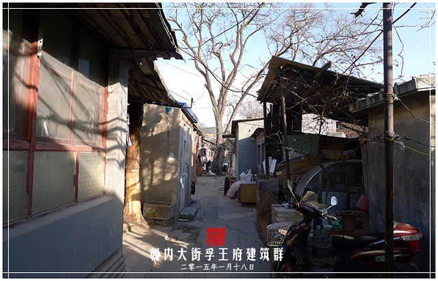 查看更多精彩图片