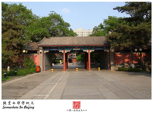 查看更多精彩图片