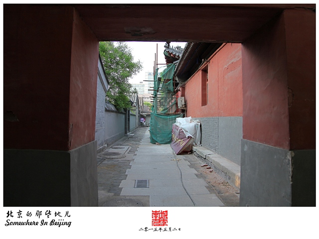 查看更多精彩图片