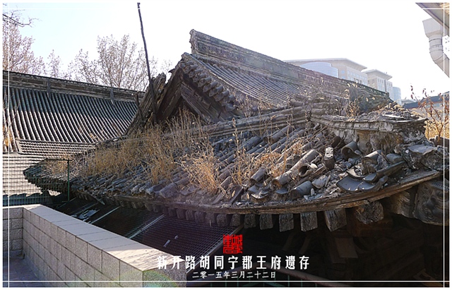 查看更多精彩图片