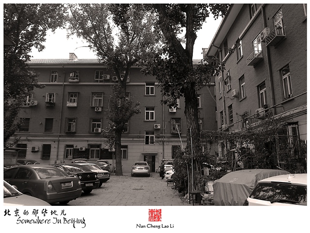 查看更多精彩图片