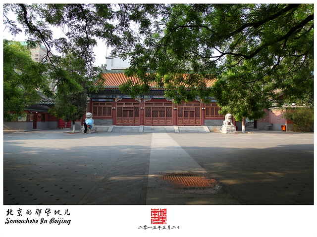 查看更多精彩图片