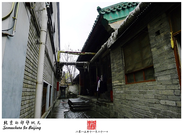 查看更多精彩图片