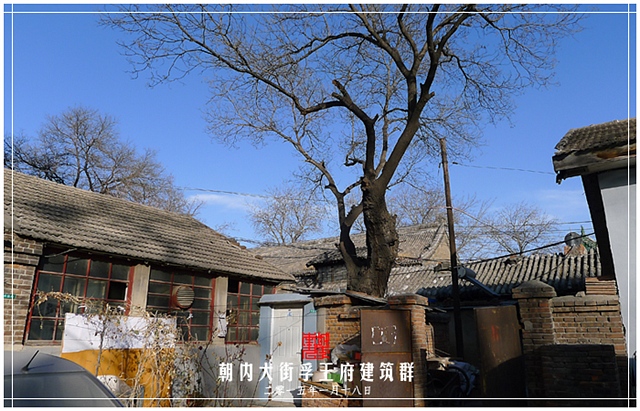 查看更多精彩图片