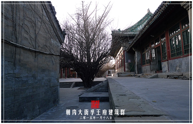 查看更多精彩图片