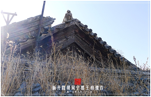 查看更多精彩图片