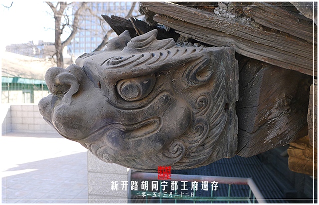 查看更多精彩图片
