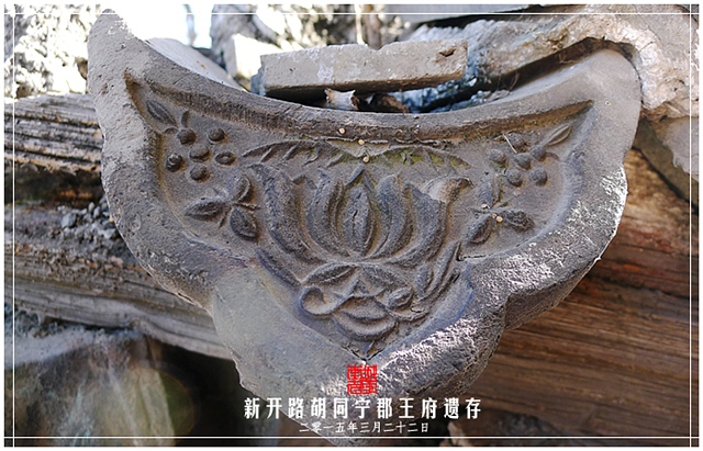 查看更多精彩图片