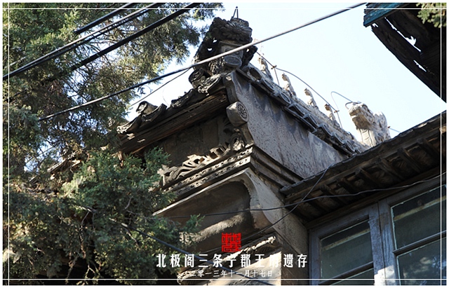 查看更多精彩图片