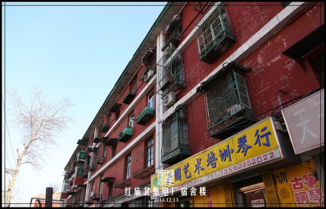 查看更多精彩图片