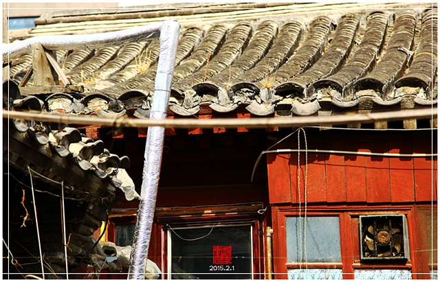 查看更多精彩图片