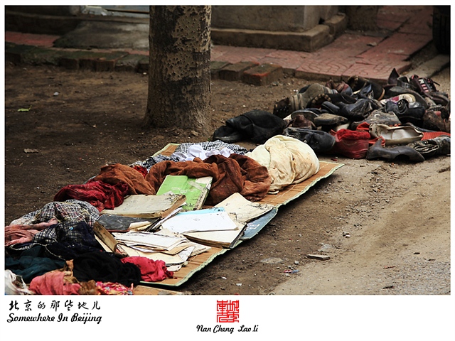 查看更多精彩图片