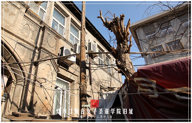 查看更多精彩图片