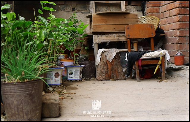 查看更多精彩图片