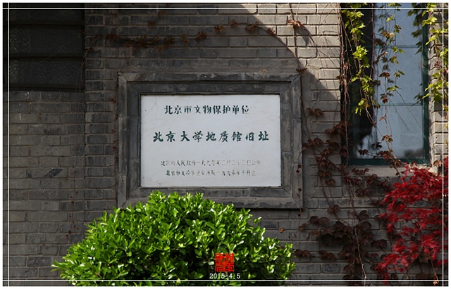 查看更多精彩图片
