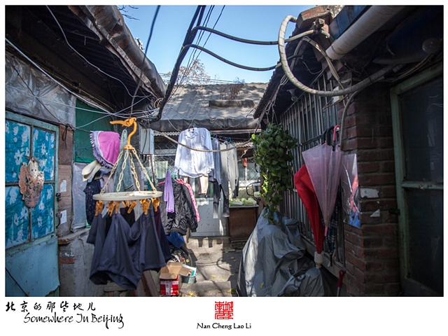 查看更多精彩图片