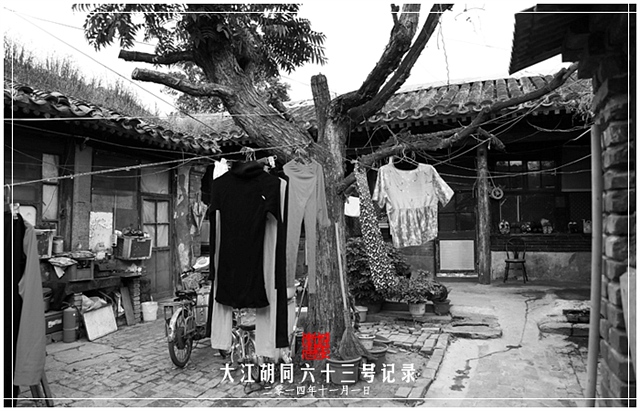 查看更多精彩图片