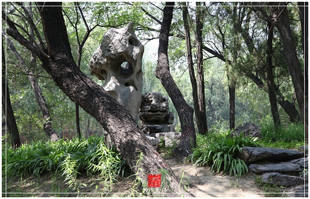 查看更多精彩图片