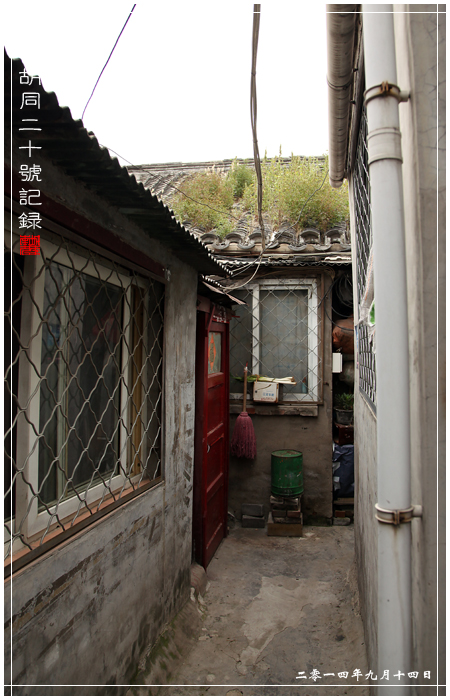 查看更多精彩图片