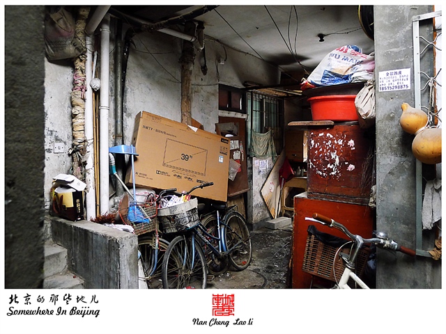 查看更多精彩图片