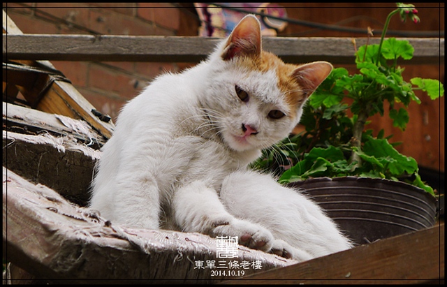 查看更多精彩图片