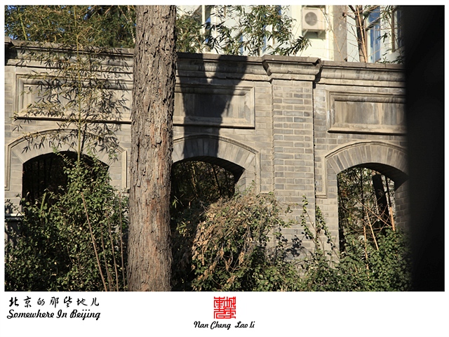 查看更多精彩图片