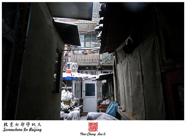 查看更多精彩图片