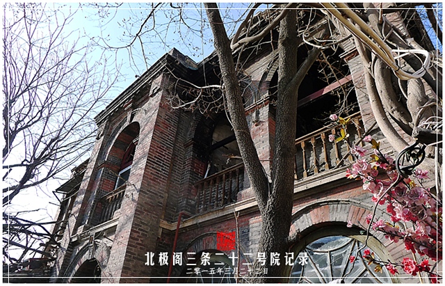 查看更多精彩图片