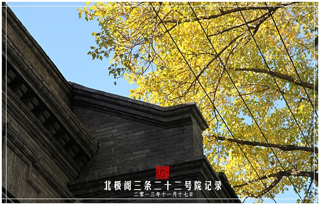 查看更多精彩图片