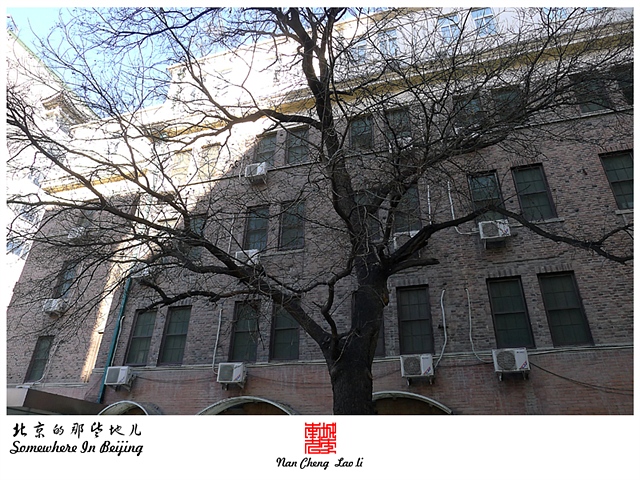 查看更多精彩图片