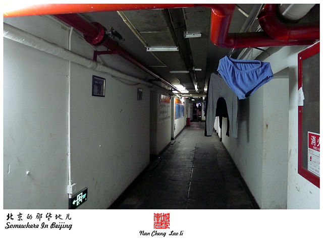 查看更多精彩图片