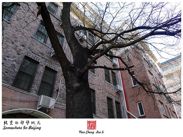 查看更多精彩图片