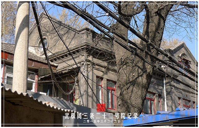 查看更多精彩图片