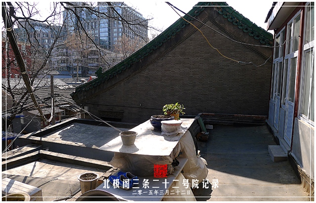 查看更多精彩图片