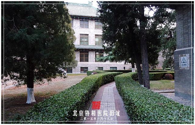 查看更多精彩图片