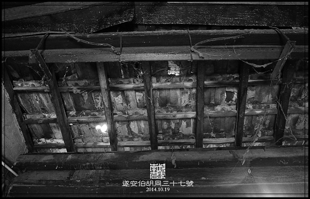 查看更多精彩图片