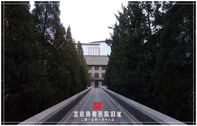 查看更多精彩图片