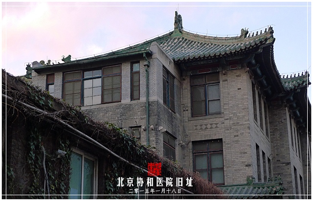 查看更多精彩图片