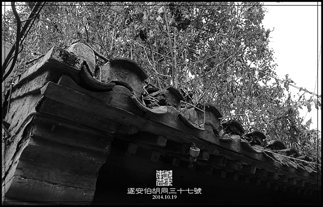 查看更多精彩图片