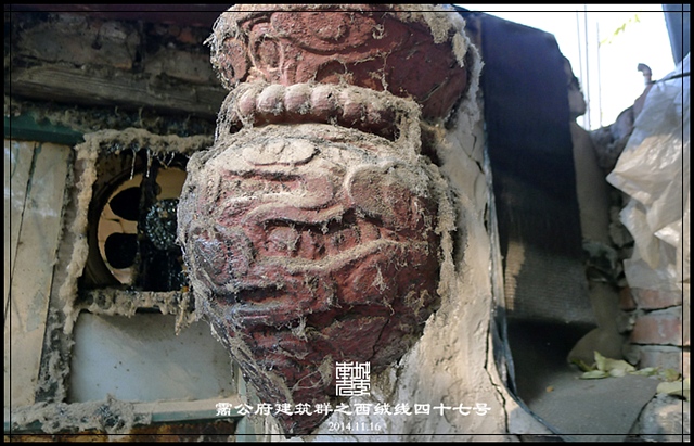查看更多精彩图片
