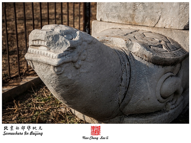查看更多精彩图片