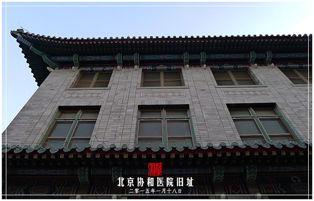 查看更多精彩图片