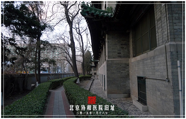 查看更多精彩图片