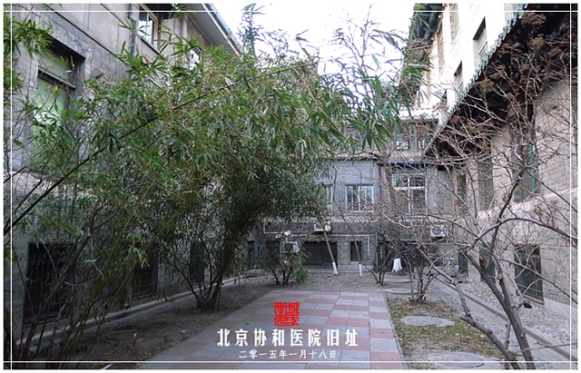 查看更多精彩图片