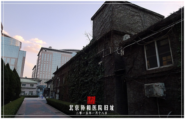查看更多精彩图片