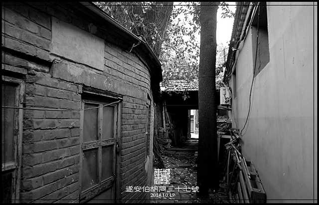 查看更多精彩图片
