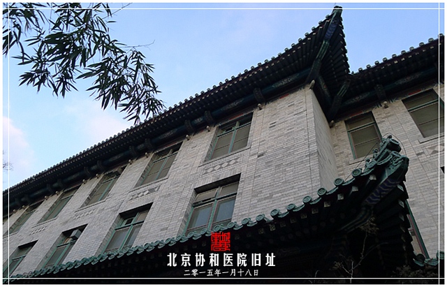 查看更多精彩图片