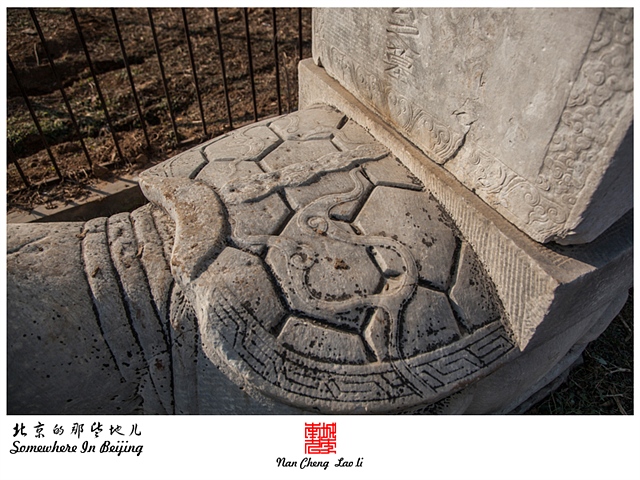 查看更多精彩图片