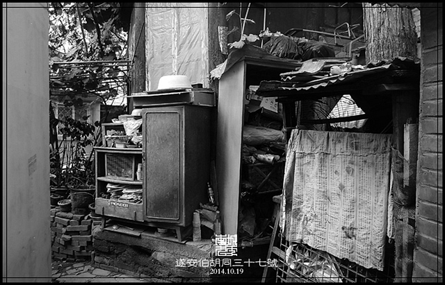查看更多精彩图片